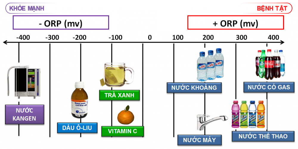 Chỉ số ORP là gì/ Hotline 0908 790509