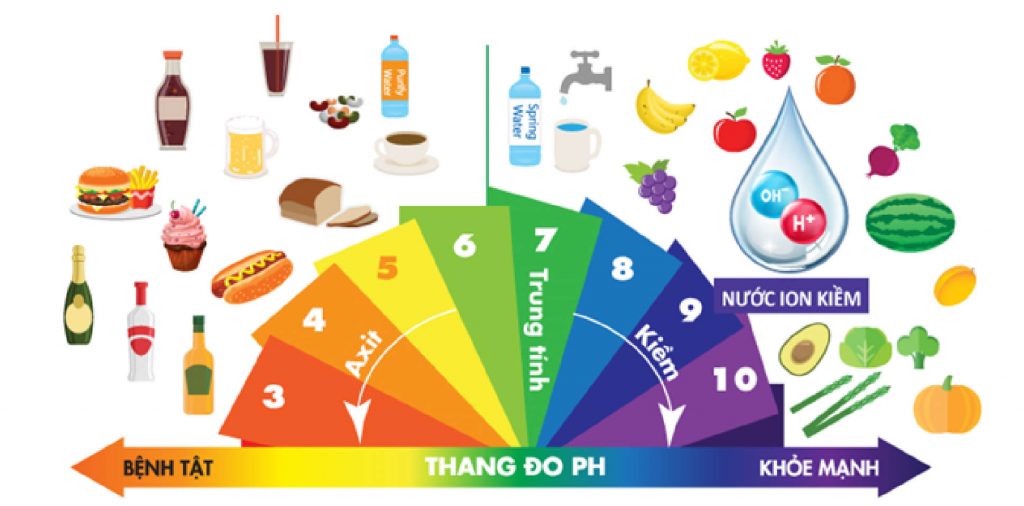 Uống nước ion kiềm có độ pH 8.5 – 9.5 đều đặn mỗi ngày, hoặc sử dụng loại nước này để nấu ăn, pha chế sẽ giúp ích cho hệ tiêu hóa và đường ruột như sau