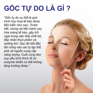 Gốc tự do là gì 1