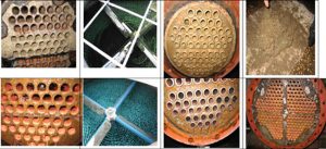 Hoa-chat-tay-cau-can