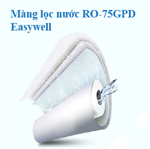 RO 75GPD Easywell